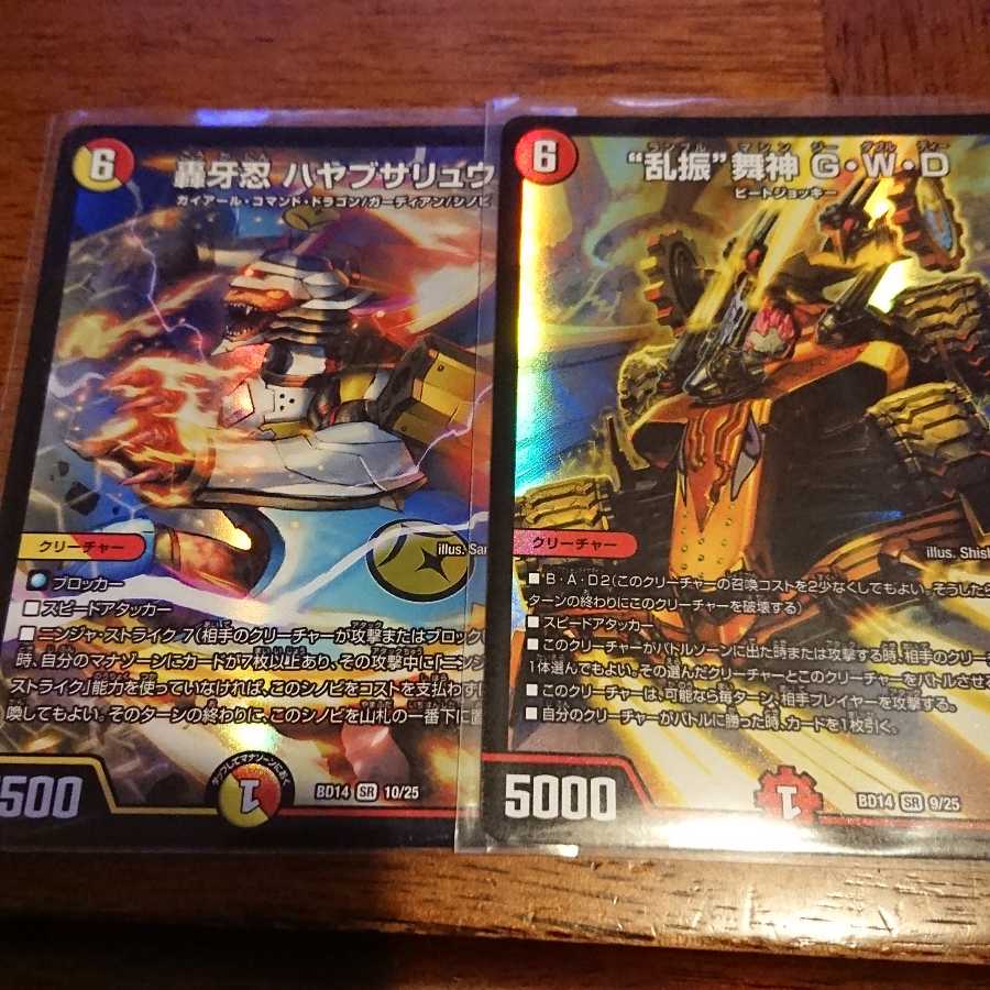 “乱振”舞神 G・W・D        ハヤブサリュウ