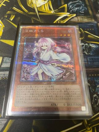 浮幽さくら　プリズマ