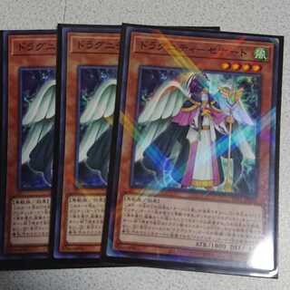 ドラグニティ-セナート