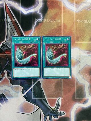 ハーピィの羽根帚