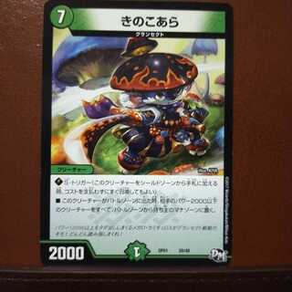 old5292セット割引　きのこあら