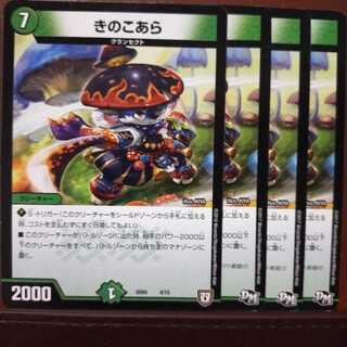 old5291セット割引　きのこあら