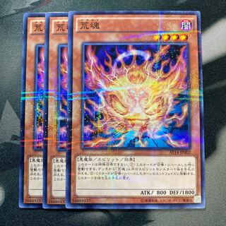 荒魂 パラレルノーマル