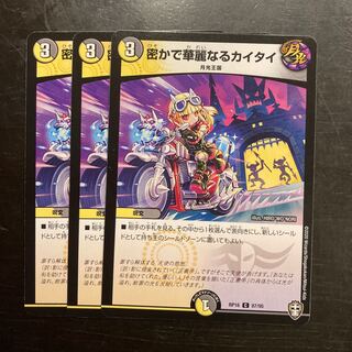 密かで華麗なるカイタイ