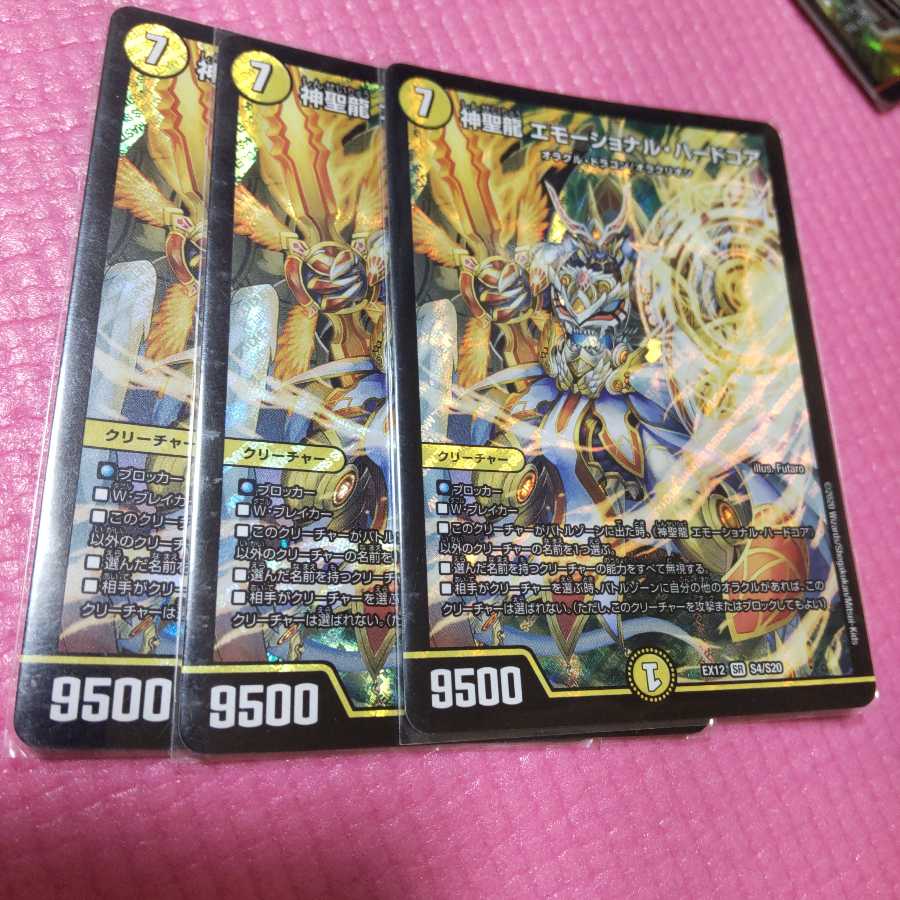 神聖龍 エモーショナル・ハードコア