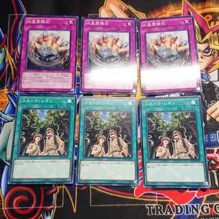 W星雲隕石&スネーク・レイン各3枚