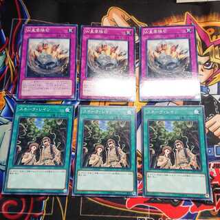 W星雲隕石&スネーク・レイン各3枚