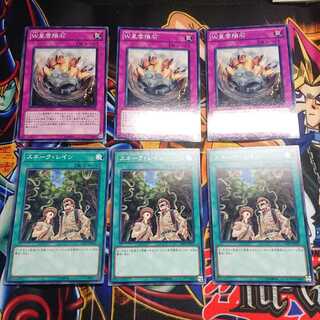 W星雲隕石&スネーク・レイン各3枚