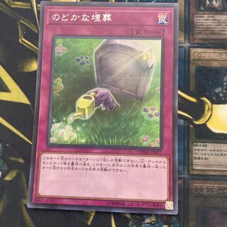 Madrace 191Peaceful Burial Secret Rare