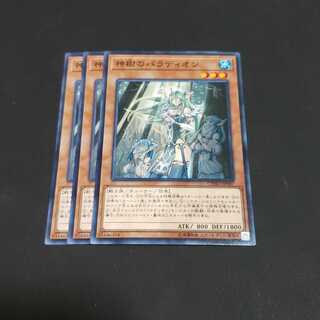 神樹のパラディオン ノーマル 遊戯王 虎ふぐ