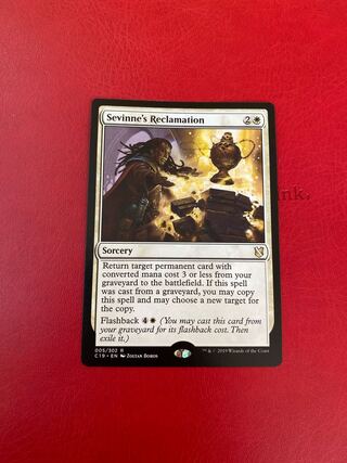 セヴィンの再利用/Sevinne's Reclamation