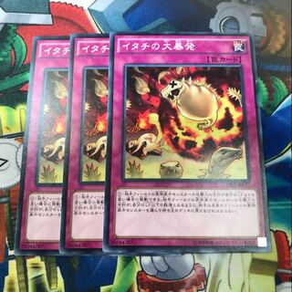 イタチの大暴発　3枚