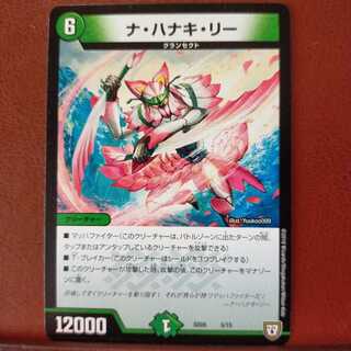 Discount on old5363 set Na Hanaki Lee