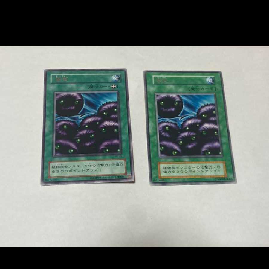 遊戯王 魔菌　レア　2枚 型番あ-1447 2枚