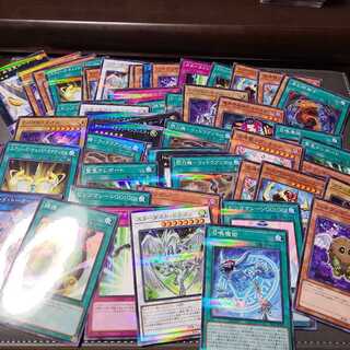 ノーパラ493枚　アーコレ