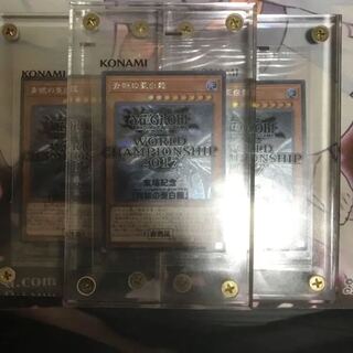 青眼の亜白龍 シク3枚セット