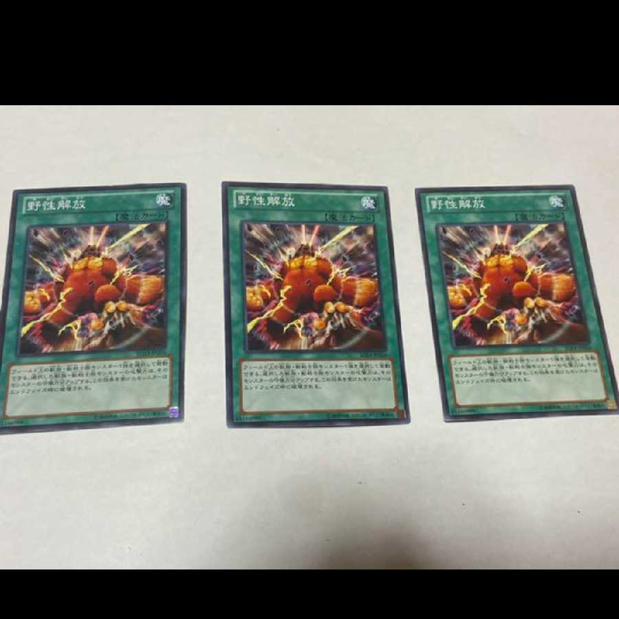 Yu-Gi-Oh! Wild Nature's Release 3 cards, model no. Ah-1396