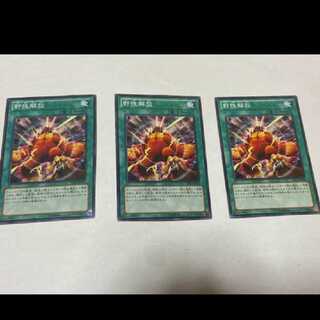 Yu-Gi-Oh! Wild Nature's Release 3 cards, model no. Ah-1396