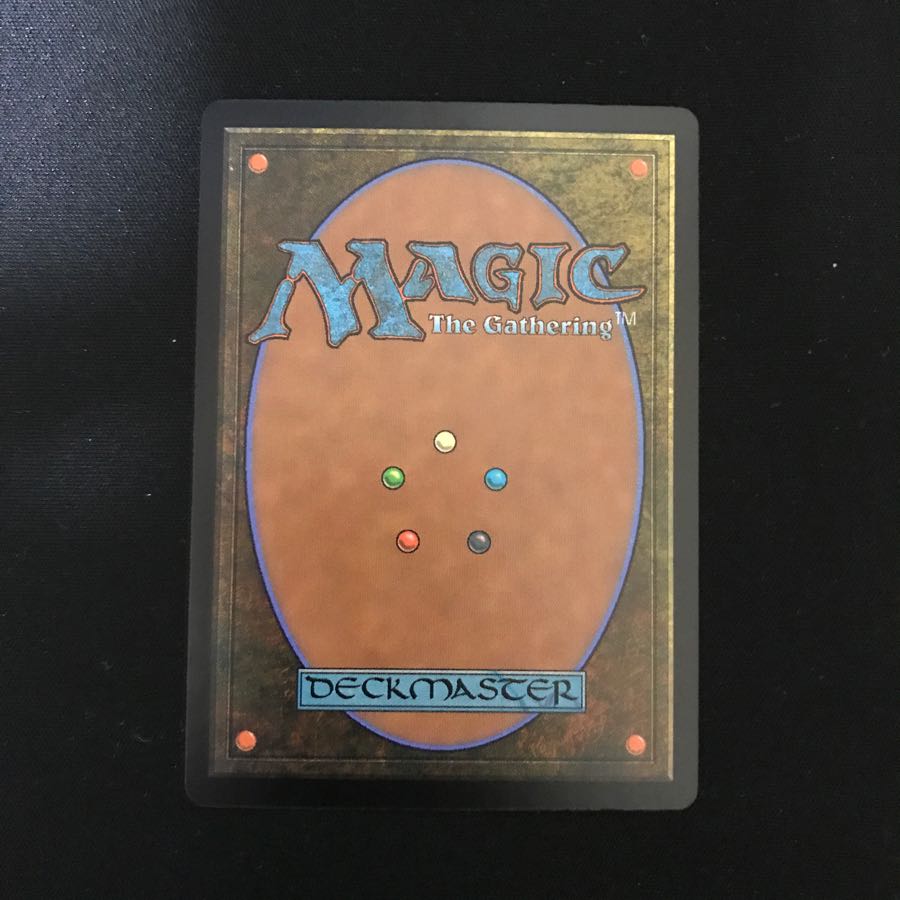 探索する獣 日本語通常版