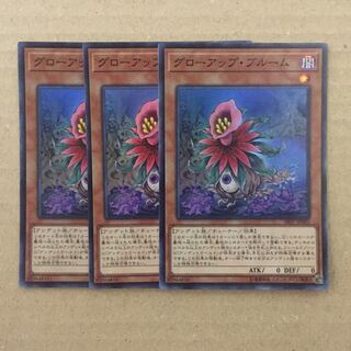 グローアップ・ブルーム