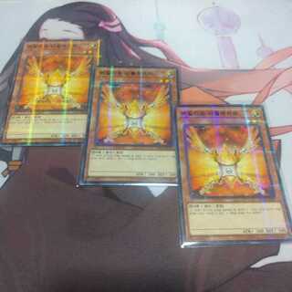 韓国　朱光の宣告者 パラレル ノーマル