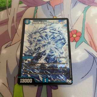 水上第九院 シャコガイル