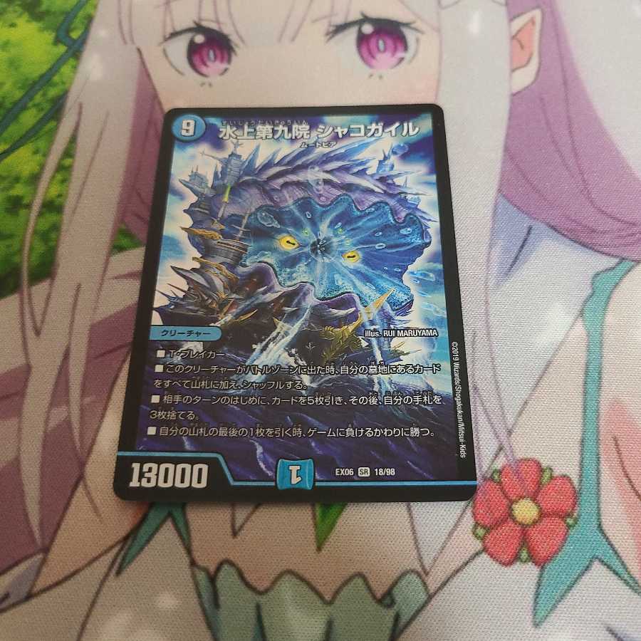 水上第九院 シャコガイル