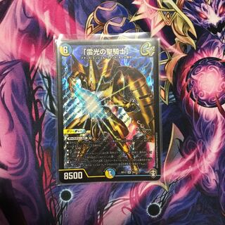 「雷光の聖騎士」