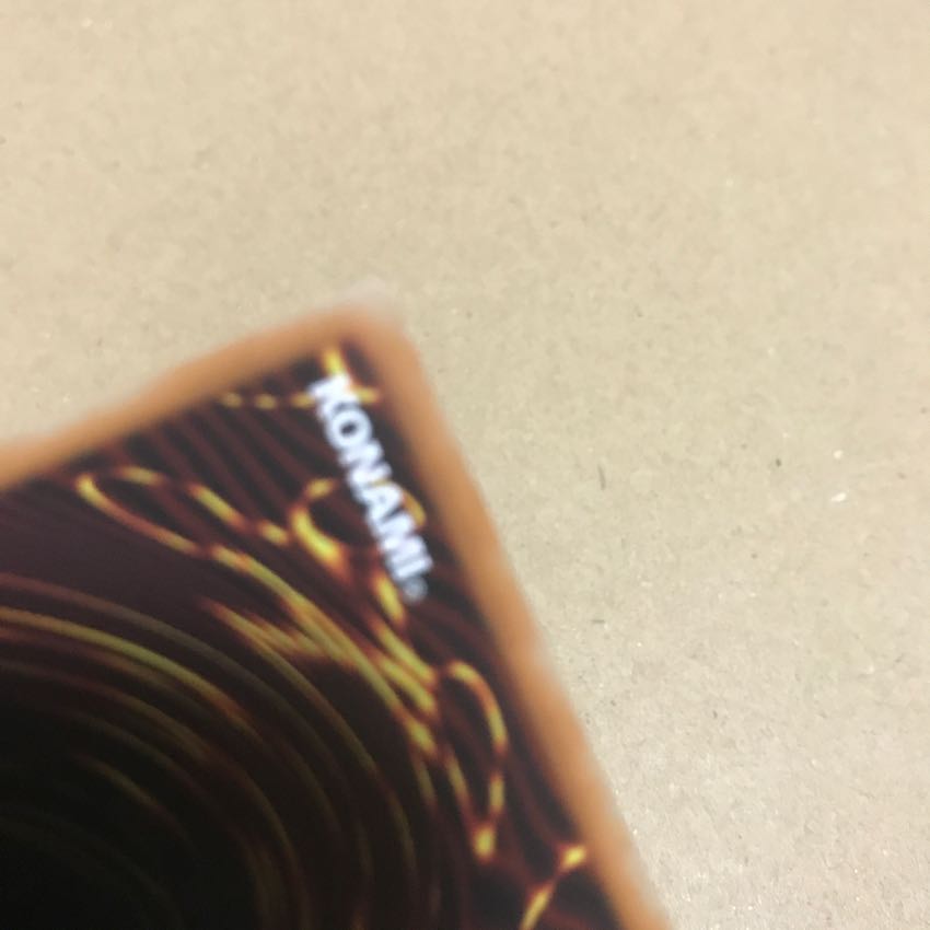 Red Blossoms from Underroot