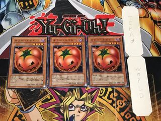 キラー・トマト ノーマル 3枚セット てら