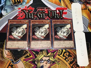 Buster Whelp of the Destruction Swordsman Normal Set of 3 Terra
