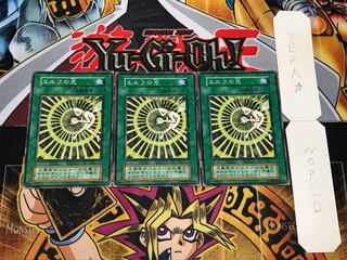 エルフの光 初期 ノーマル 3枚セット てら