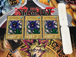 Tentacle Plant, early normal, set of 3, Terra