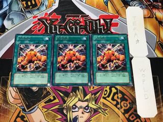 野生解放 レア 3枚セット てら