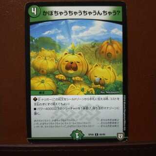 old5455セット割引　かぼちゃうちゃうちゃうんちゃう?