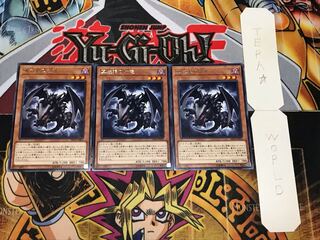 真紅眼の幼竜 レア 3枚セット てら