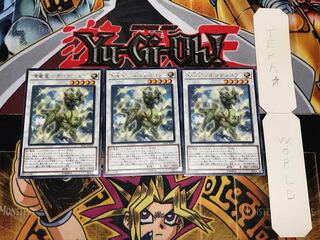 源竜星-ボウテンコウ レア 3枚セット てら