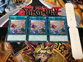 化石調査 ノーマルパラレル 3枚セット てら