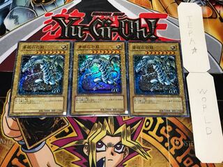 青眼の白龍 デュエルターミナル 3枚セット てら