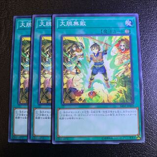 大胆無敵 ノーマル