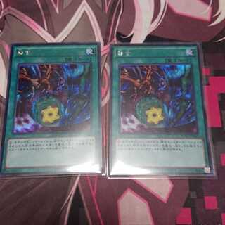 融合 シークレットレア 2枚