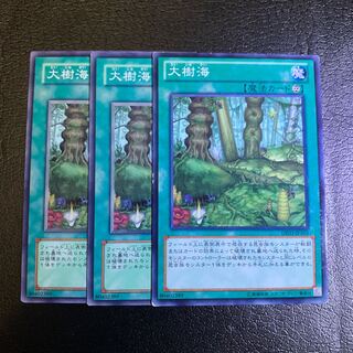 大樹海 ノーマル