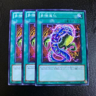 多様進化 ノーマル