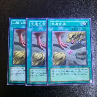 大進化薬 ノーマル