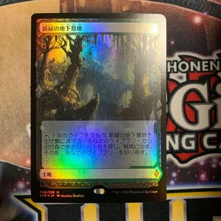 【ZNE】新緑の地下墓地【日本語版/foil】