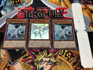 Dragon Spirit of White Ultra, set of 3, Tera