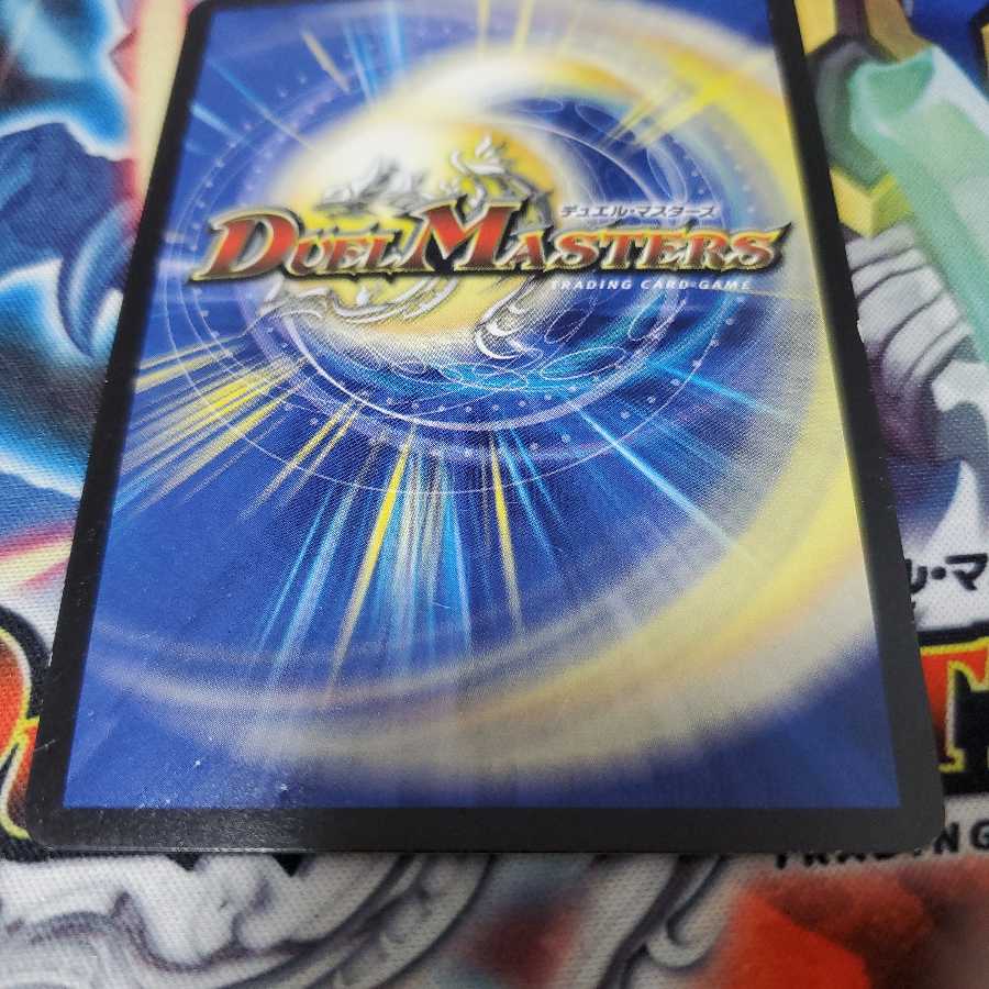 百族の長 プチョヘンザ