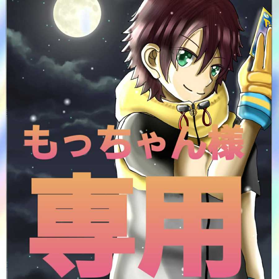 もっちゃん様専用