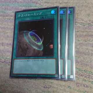 テラ・フォーミング3枚