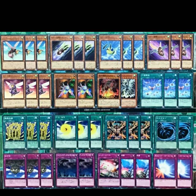 遊戯王 B・F デッキ 本格構築 ビーフォース